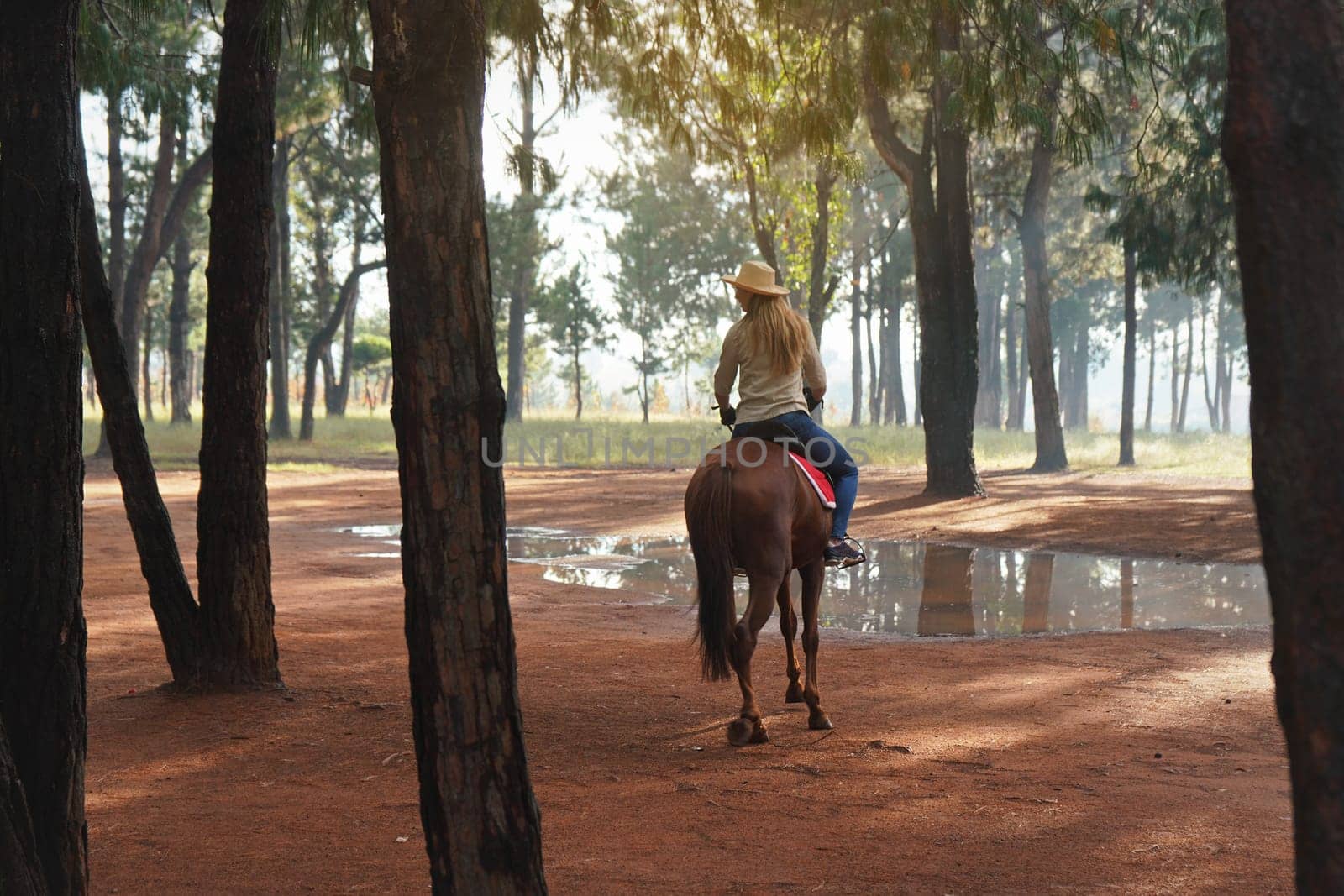 Young woman in shirt and straw hat, rides brown horse in the park, view from her back, blurred background with houses and trees