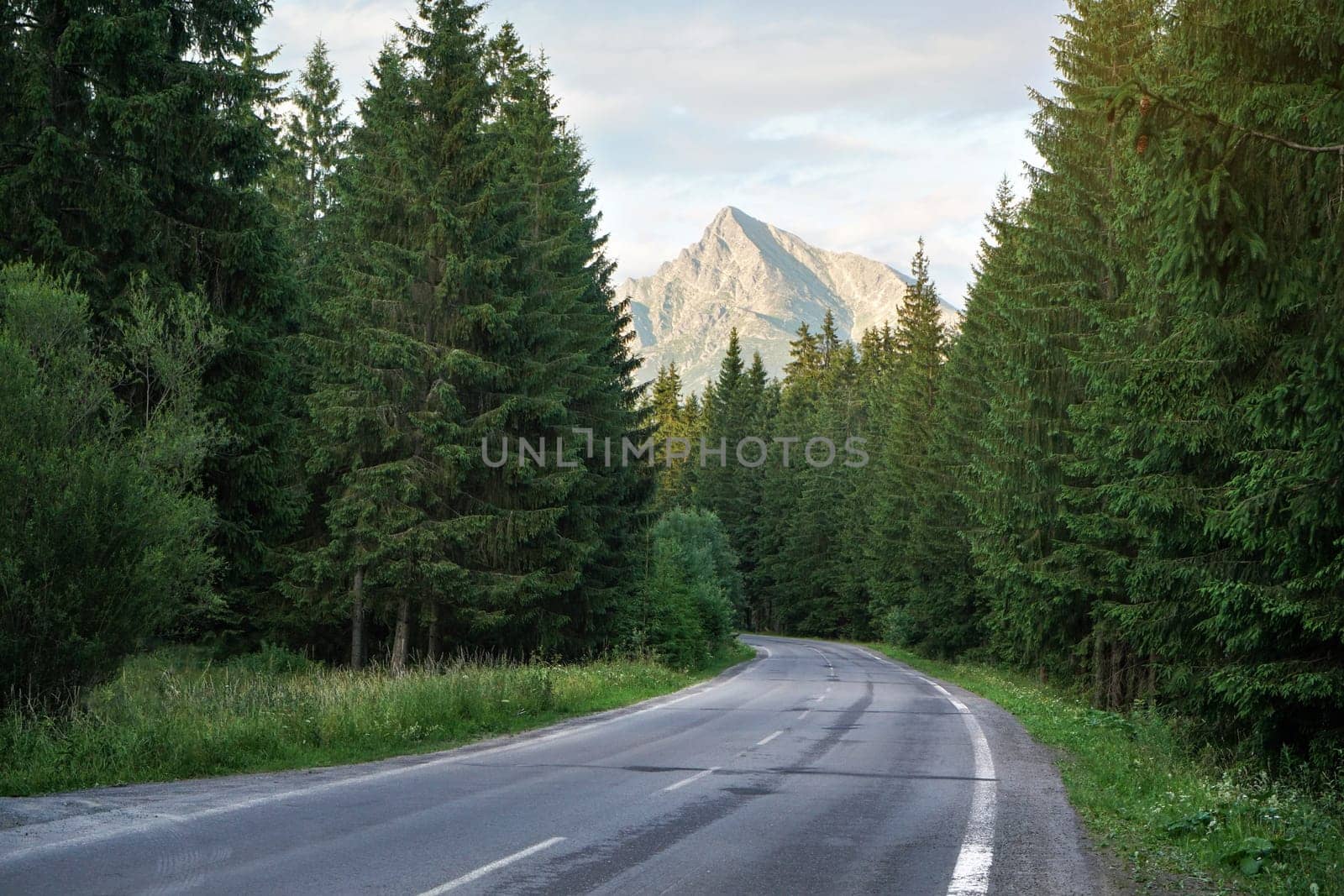 Empty mountain road, coniferous trees on both sides, evening sun shines on mount Krivan peak (Slovak symbol) in distance by Ivanko