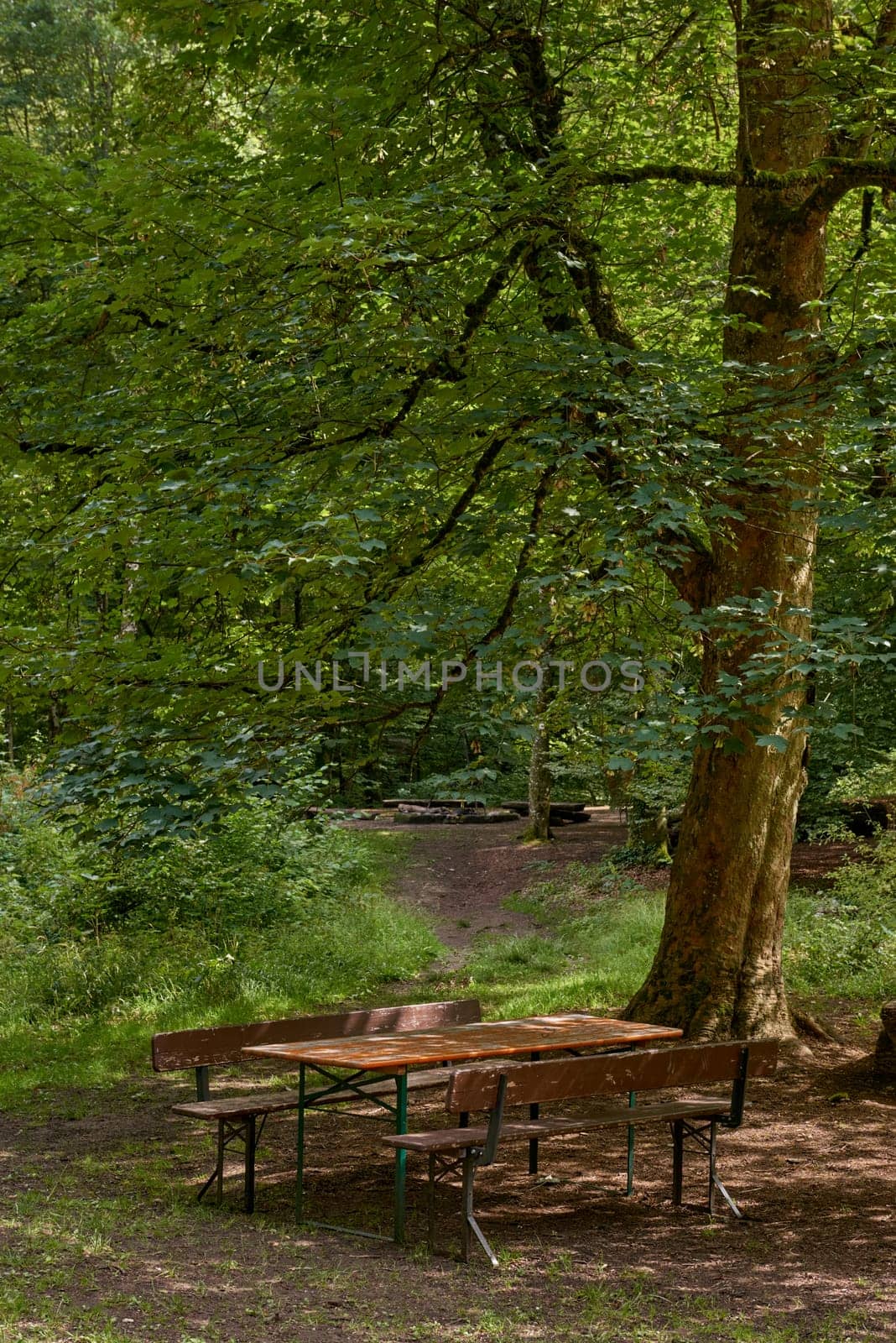 Idyllic picnic area at Urach waterfall cascade “Uracher Wasserfall“ under a maple tree (Acer) with colorful foliage in autumn season. Beer tent set covered with fallen leaves in natural reserve forest