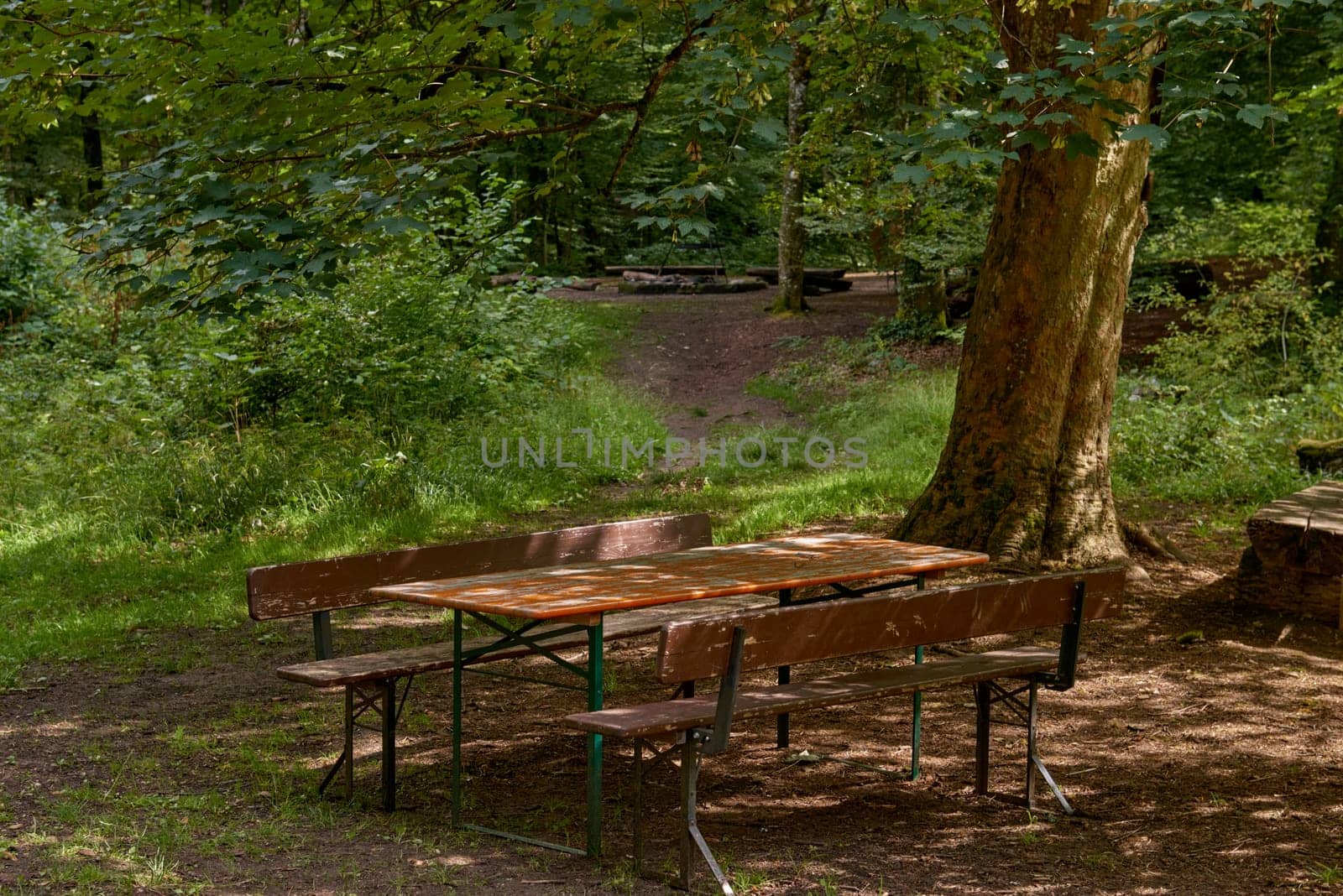Idyllic Picnic Area At Urach Waterfall Cascade “Uracher Wasserfall“ Under A Maple Tree (Acer) With Green Foliage In Summer Season. Beer Tent Set Covered With Fallen Leaves In Natural Reserve Forest by Andrii_Ko