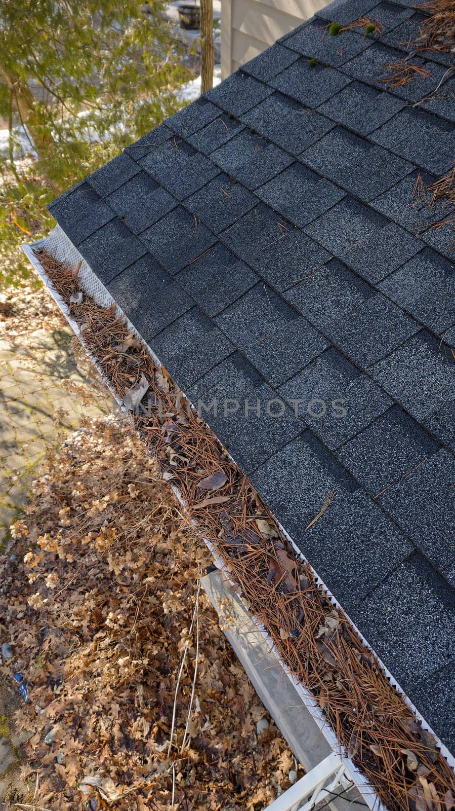 Drone view of residential rain gutter eavestrough filled with pine needles and tree debris. High quality photo