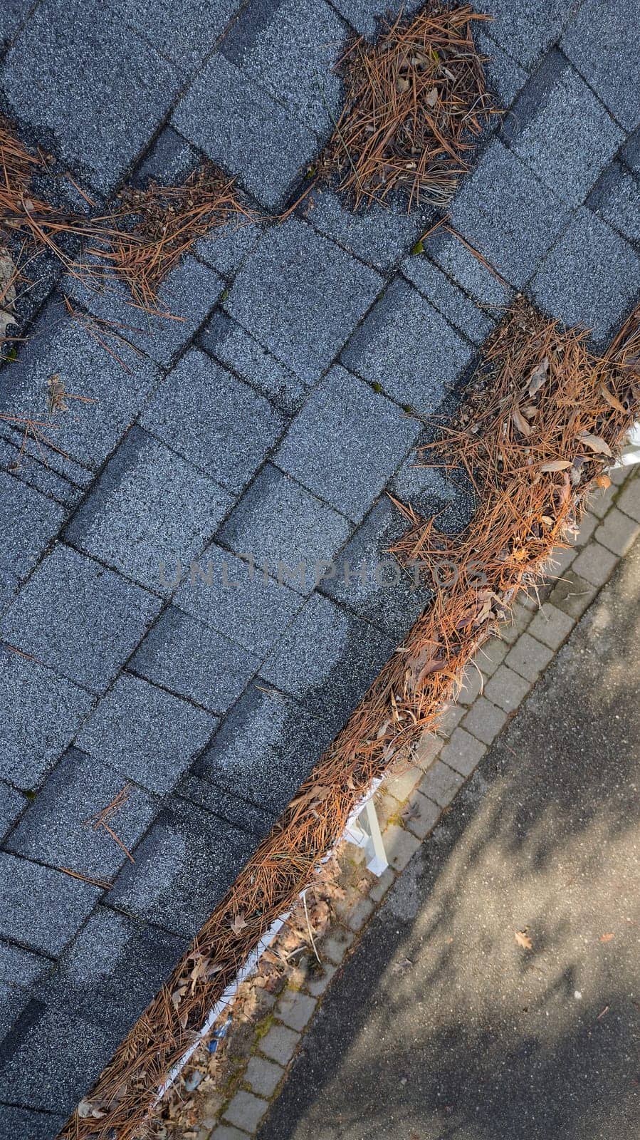 Aerial drone view of residential rain gutter eavestrough filled with pine needles and tree debris by markvandam