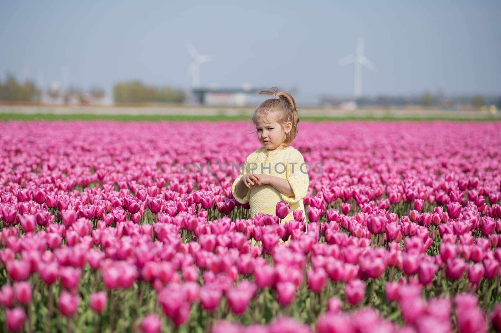 A small girl in a pink tulip field by Godi