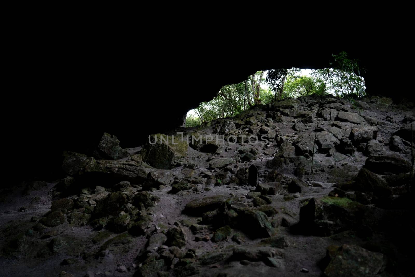 Tranquil cave mouth with daylight piercing the foliage and illuminating the stones.