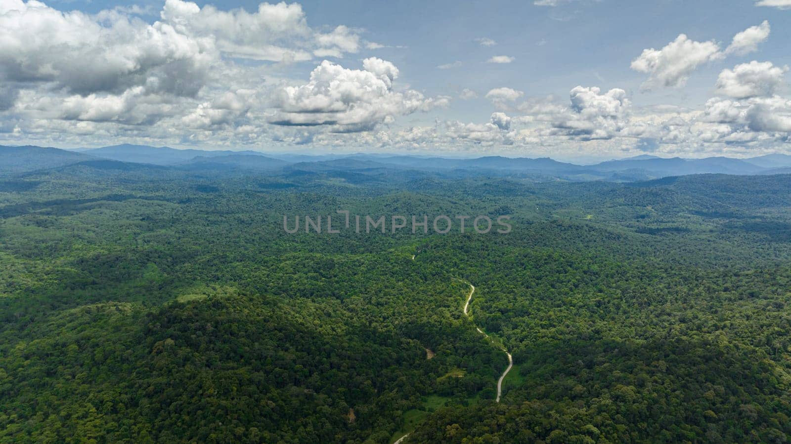 Jungle and rainforest in highlands. Borneo, Malaysia.