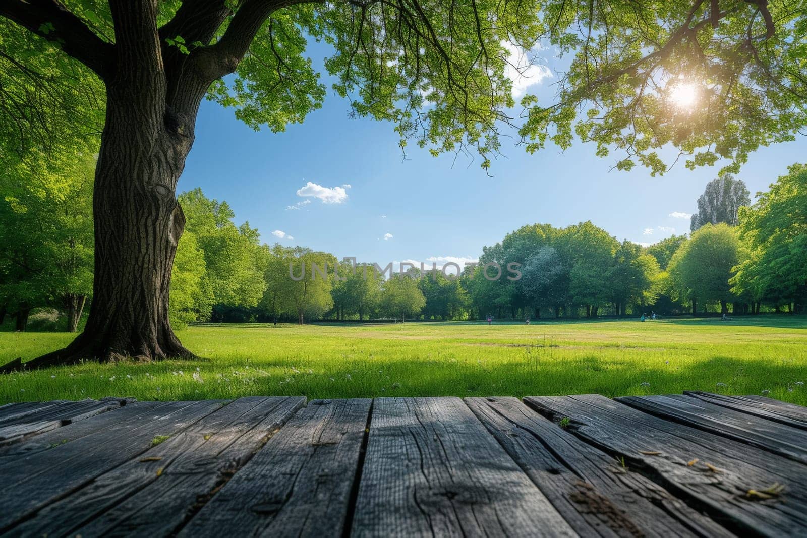 Backgrounds: Empty rustic wooden table on green forest for mockup product display.