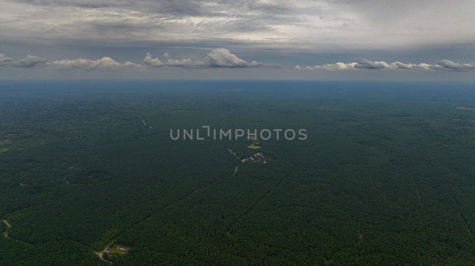 Top view of valley among the jungle and rainforest. Bukit Lawang. Sumatra. Indonesia.