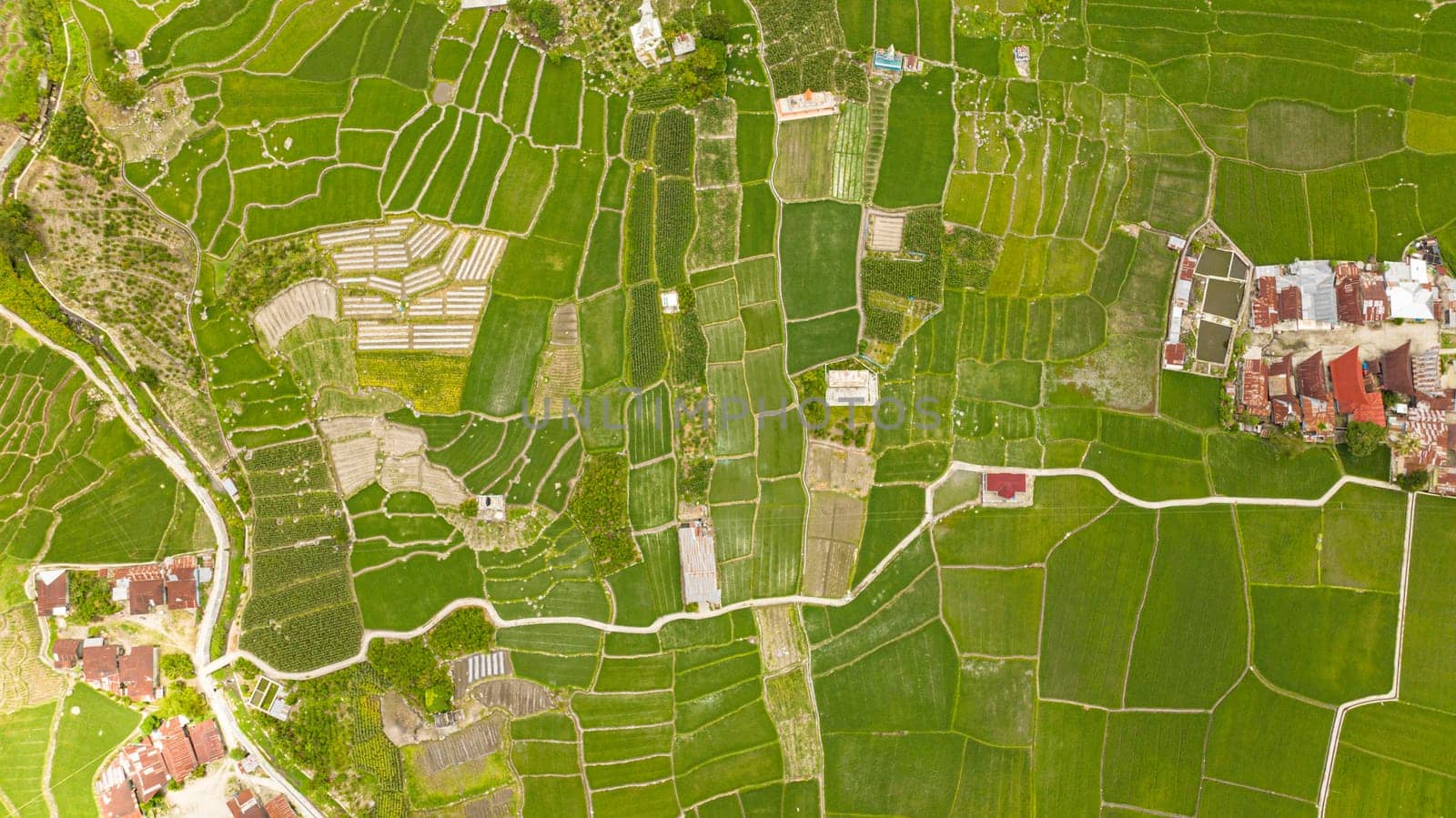 Aerial drone of farmland with planting vegetables. Agricultural landscape in Sumatra, Indonesia.