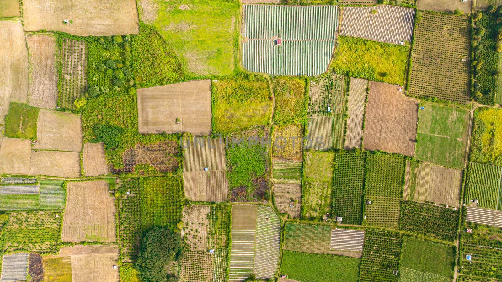 Aerial drone of farmland in the countryside. Agricultural landscape in Sumatra. Berastagi, Indonesia.