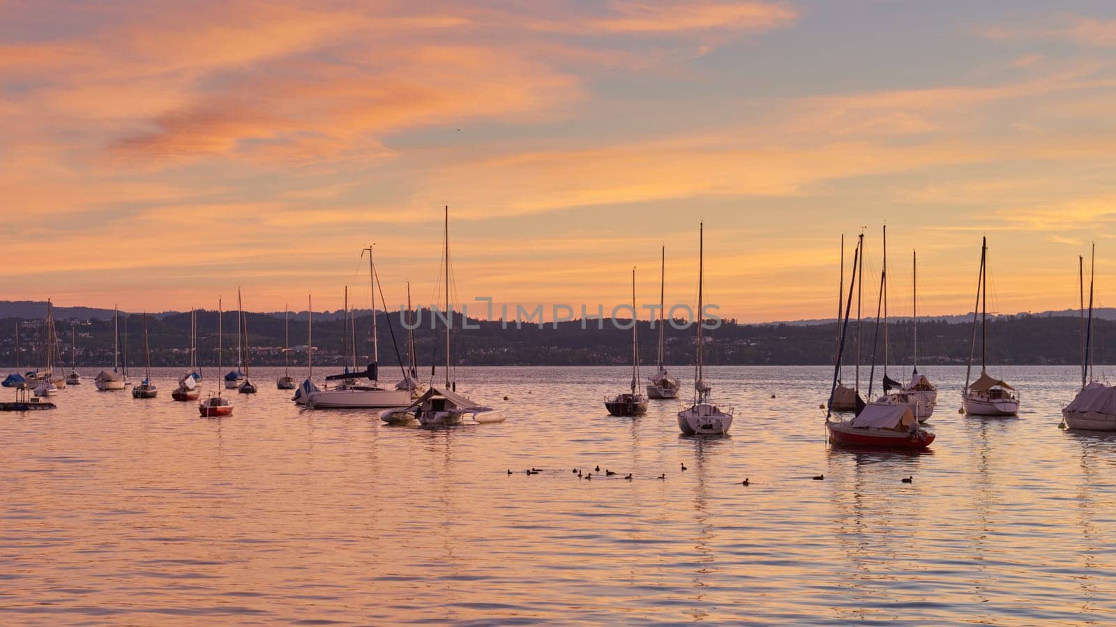 Bodensee Lake Sunrise Panorama. Morning Sunlight Over Tranquil Waters. Witness the mesmerizing dawn over Germany's Bodensee Lake, captured from a boat dock. Embrace the tranquil beauty of the early morning as the sun rises, casting a soft glow on the landscape. The peaceful scene features boats, yachts, and a charming water shack set against a backdrop of a captivating sky. Clouds delicately reflect on the calm water, creating a serene atmosphere. Immerse yourself in the serene beauty of a lakeside sunrise. Explore the harmony of nature, technology, and production as the day unfolds by the lake.