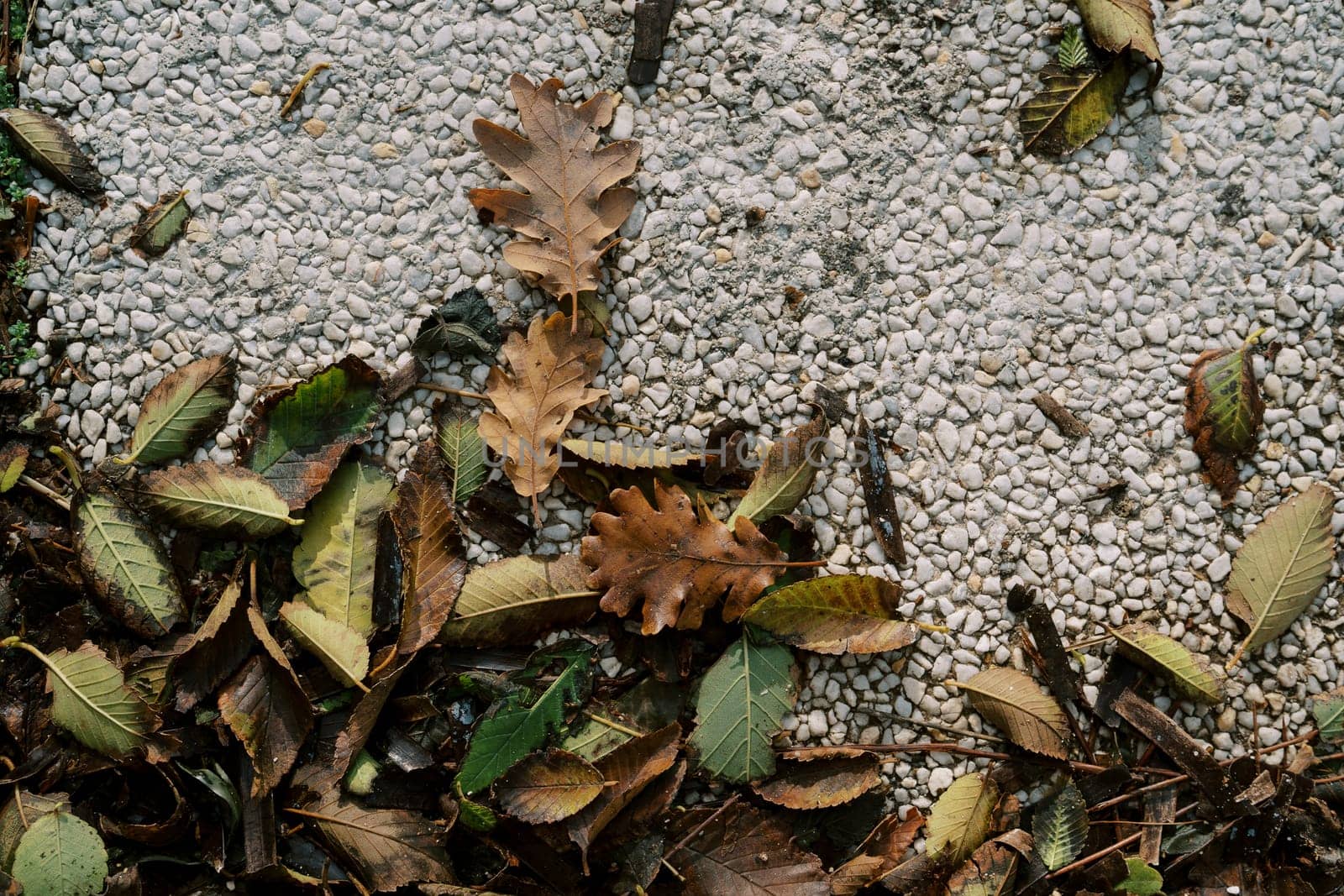 Dry leaves lie on a gravel textured tile. High quality photo