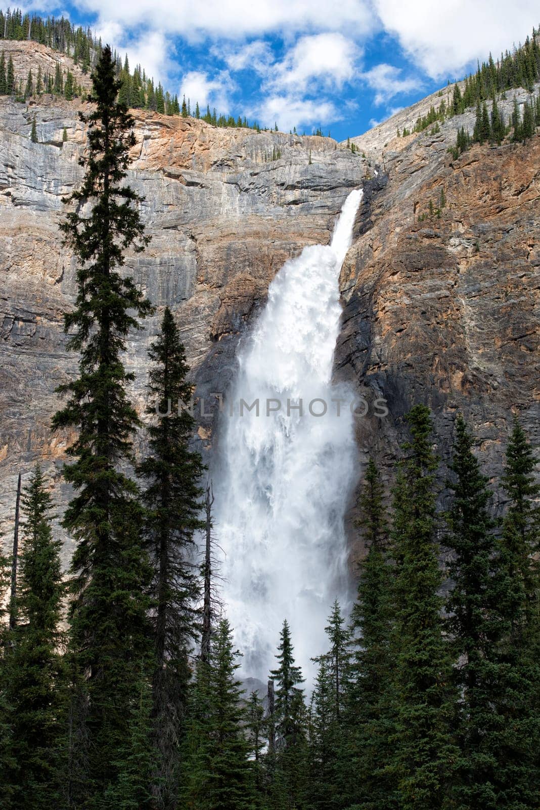 Takkakaw Falls yoho Park view