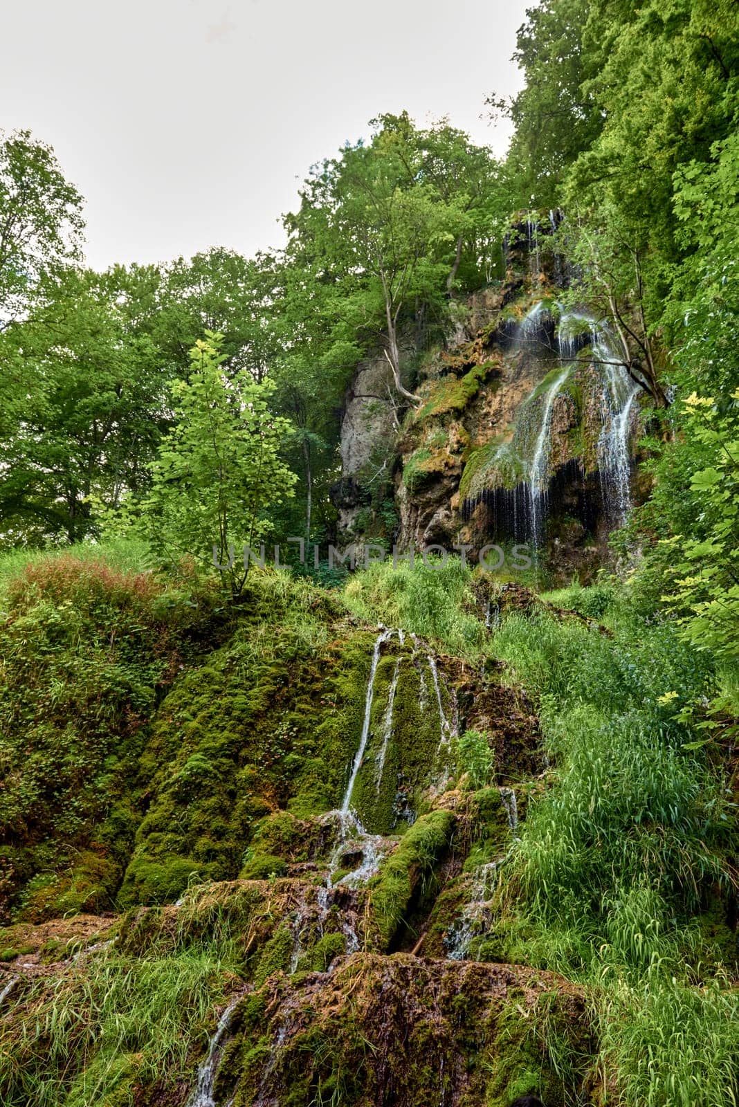 Majestic Cascade: Uracher Wasserfall Amidst Verdant Forest Landscape. Tranquil Retreat: Uracher Wasserfall - Nature's Symphony in Germany's Black Forest by Andrii_Ko