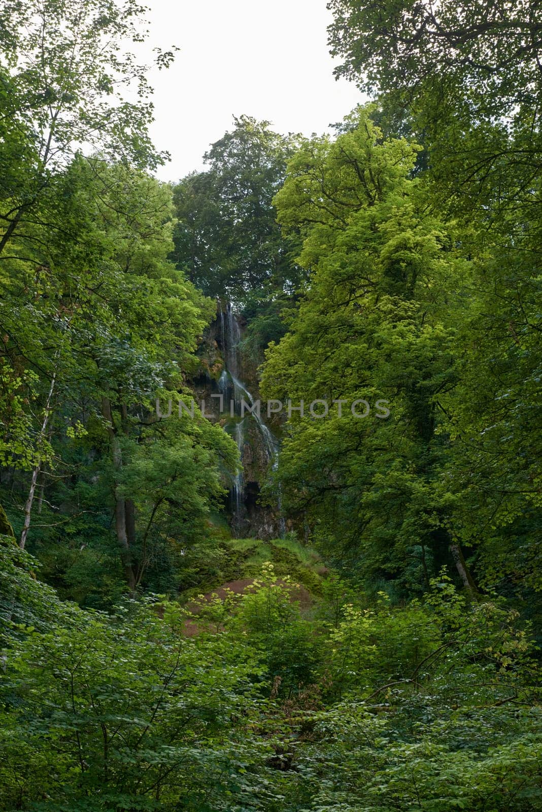 Waterfall Bad Urach at Southern Germany Longexposure. Cascade panorama in Bad Urach Germany is a popular natural attraction and waterfall sight called Uracher Wasserfall . Natural reserve in autumn season with colorful foliage and longtime exposure. Panoramic view of Bruehlbach creek or brook with cascade in Bad Urach, Germany near waterfall sight Uracher Wasserfall . Natural reserve on a summer morning after heavy rain in lush forest by Andrii_Ko