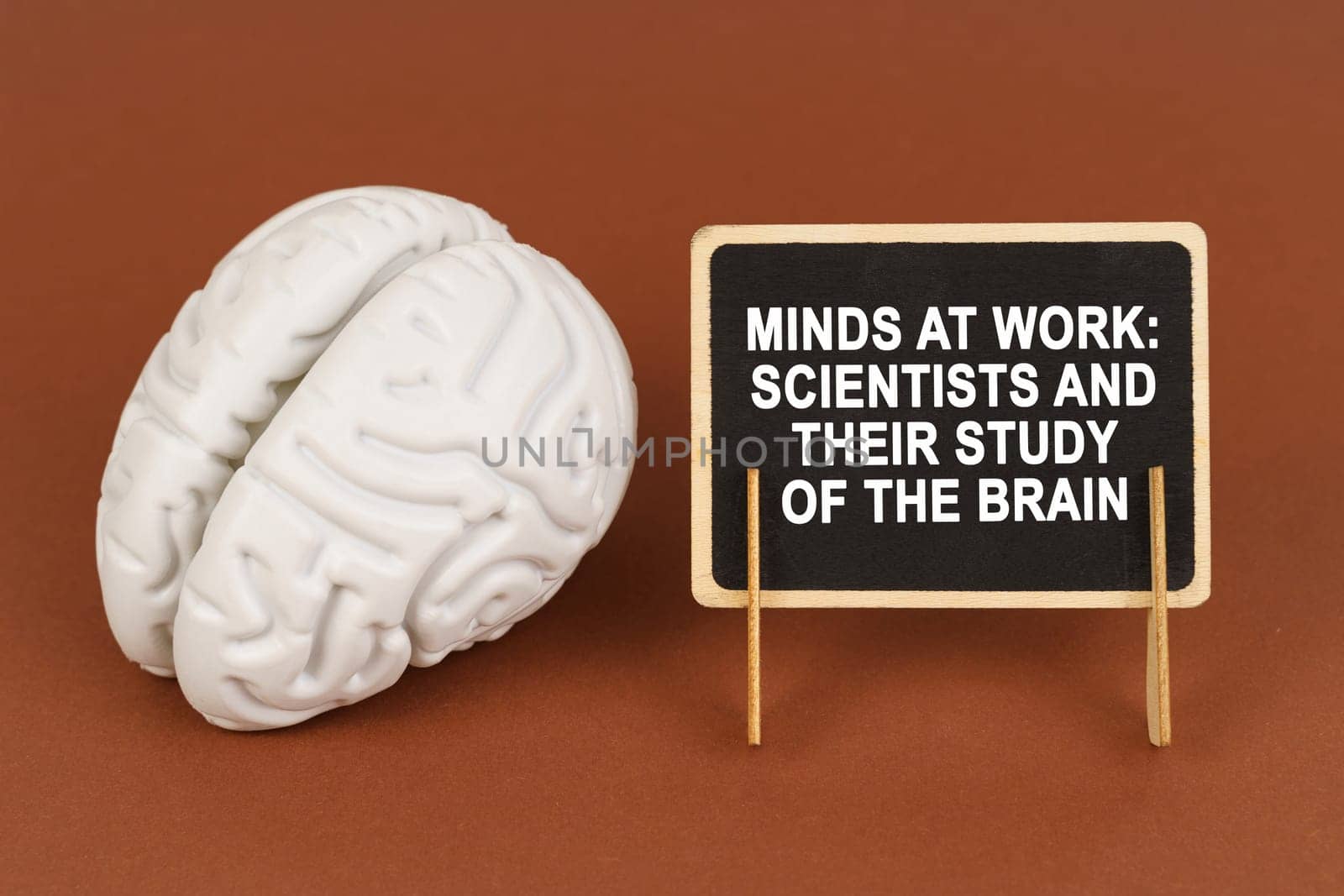 On a brown background, a model of the brain and a sign with the inscription - Minds at work Scientists and their study of the brain. Science and healthcare concept.