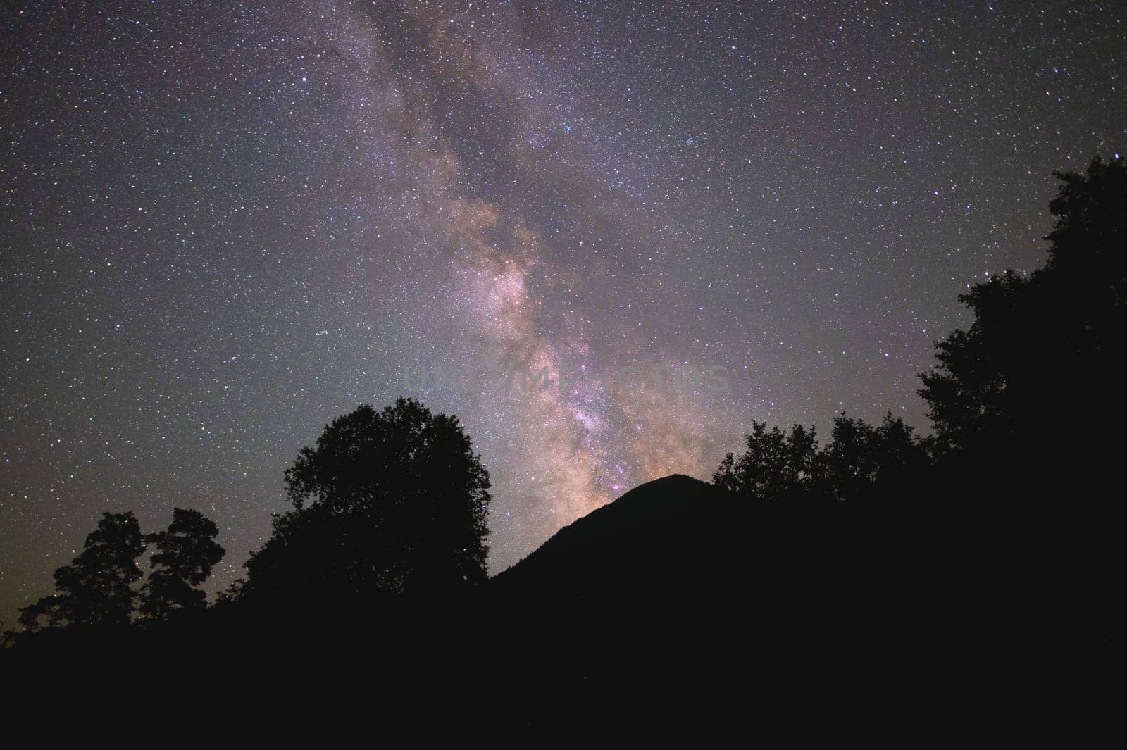 Low angle view of a silhouetted forest with the Milky Way in the background at night by yanik88