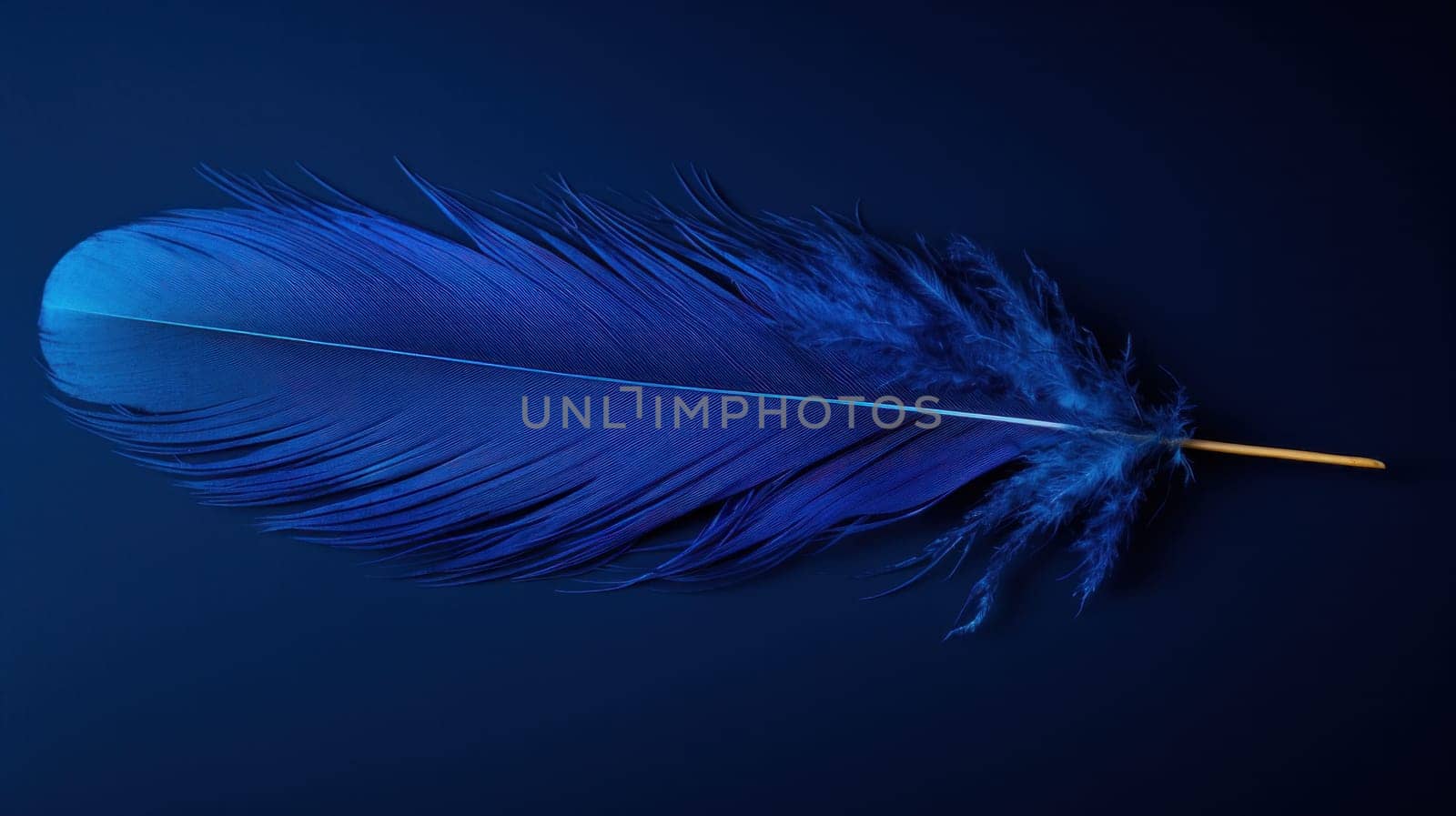 A blue feather on a stick with the tip of it sticking out