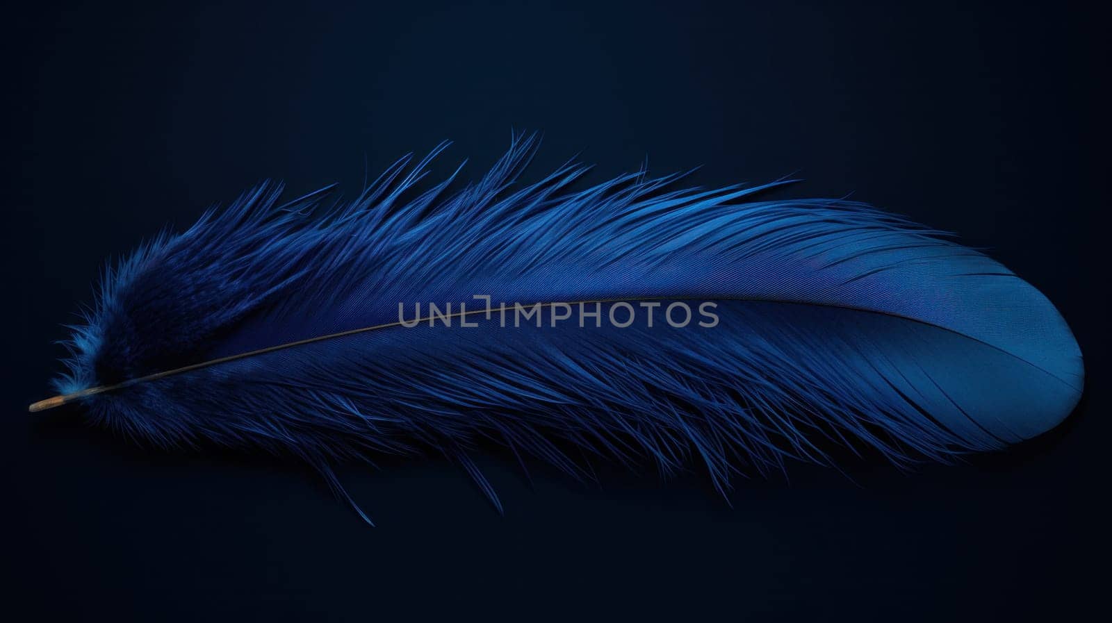 A blue feather laying on a black background with no other objects