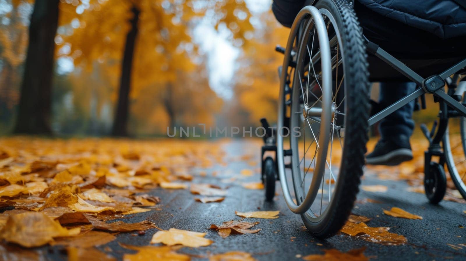 A person in a wheelchair on the road with leaves and trees