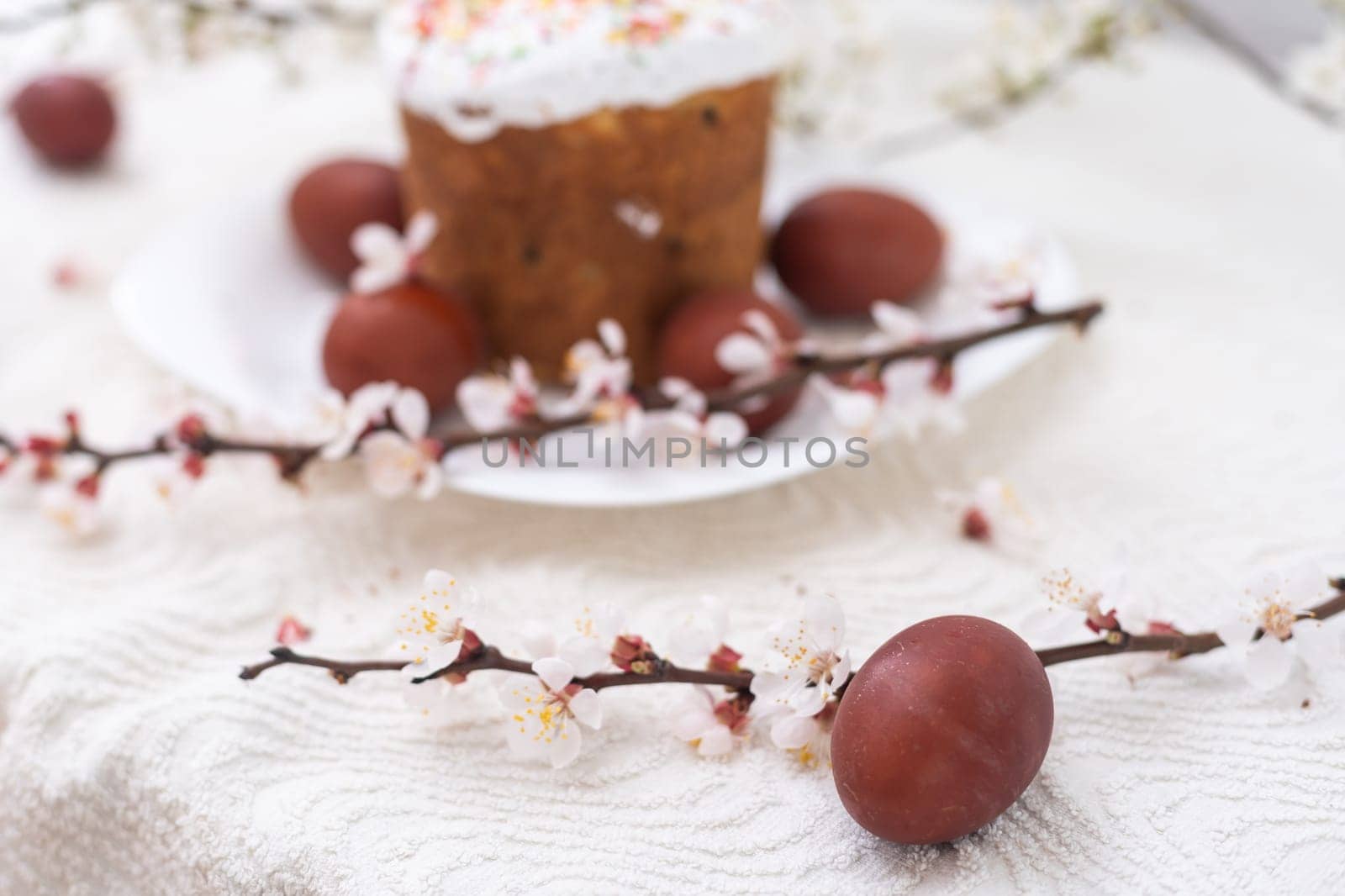Easter cake and painted eggs blooming branch.