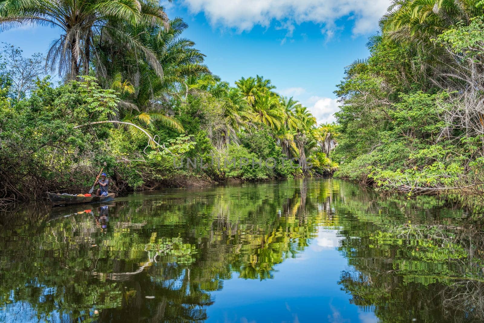 Traditional Kayaker enjoying a serene river in lush tropical jungle.