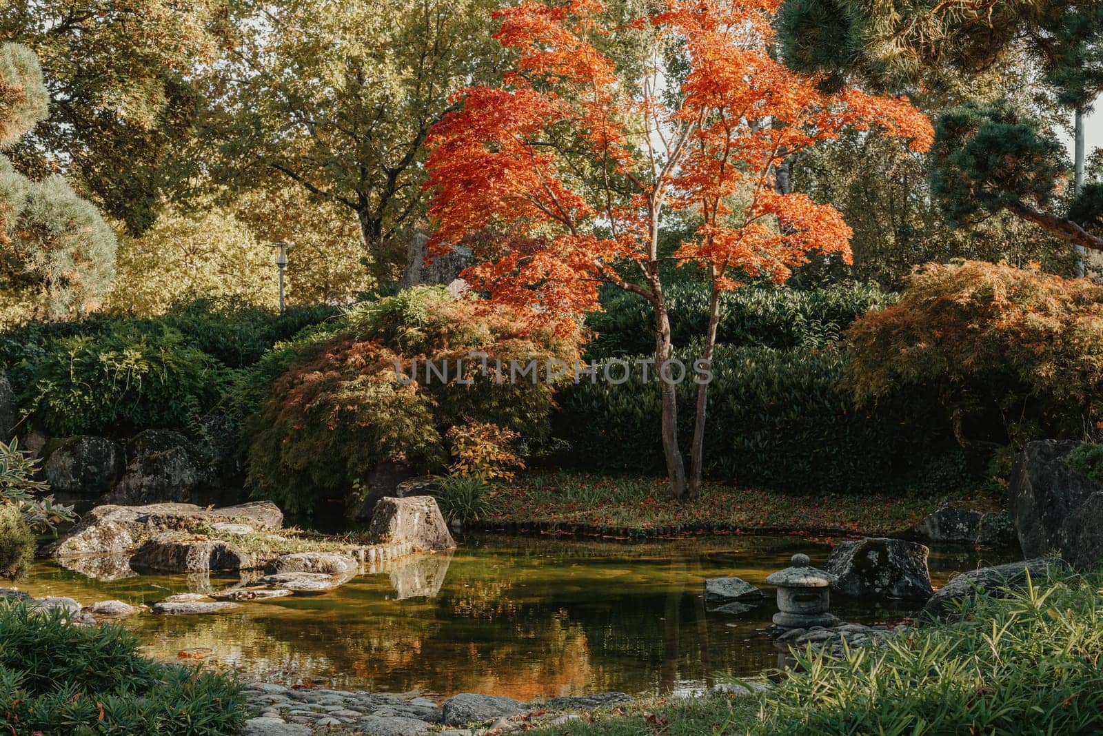 Beautiful calm scene in spring Japanese garden. Japan autumn image. Beautiful Japanese garden with a pond and red leaves. Pond in a Japanese garden.