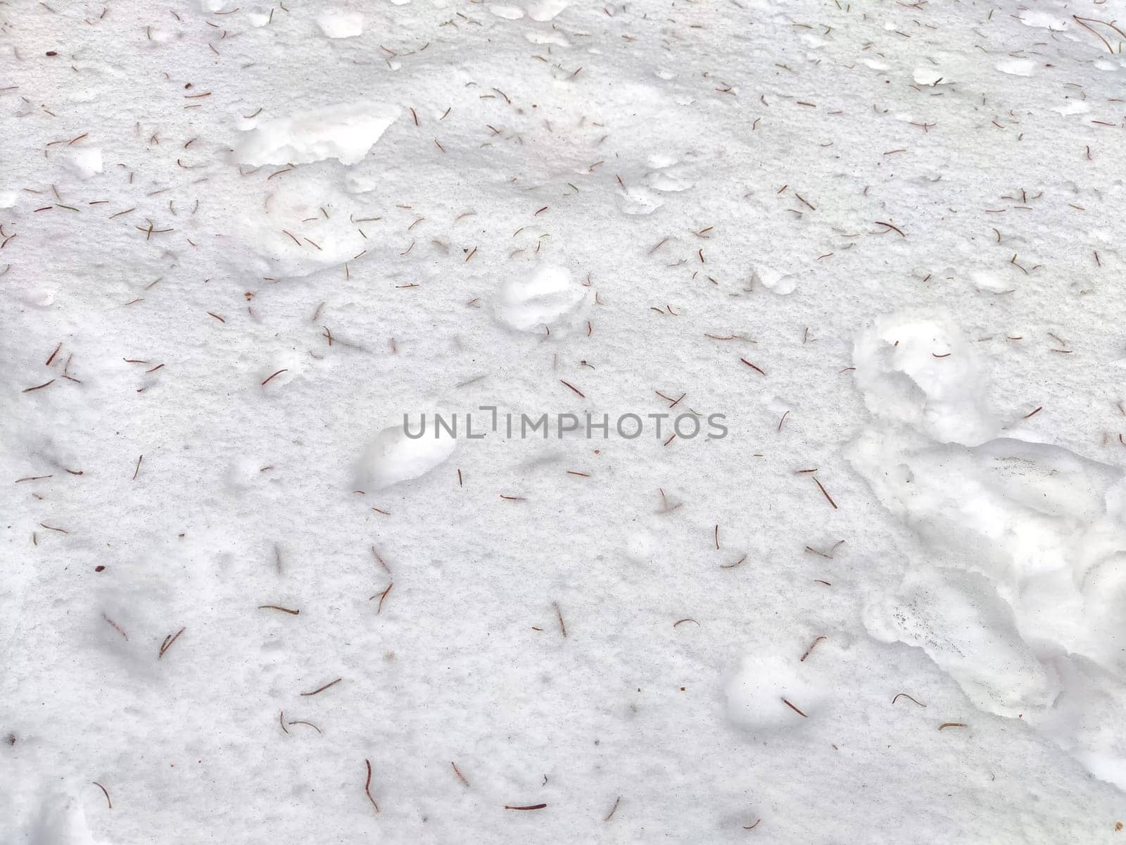 Close-Up View of White snow Texture With Small needles. Abstract background, texture, pattern, copy space, place for text