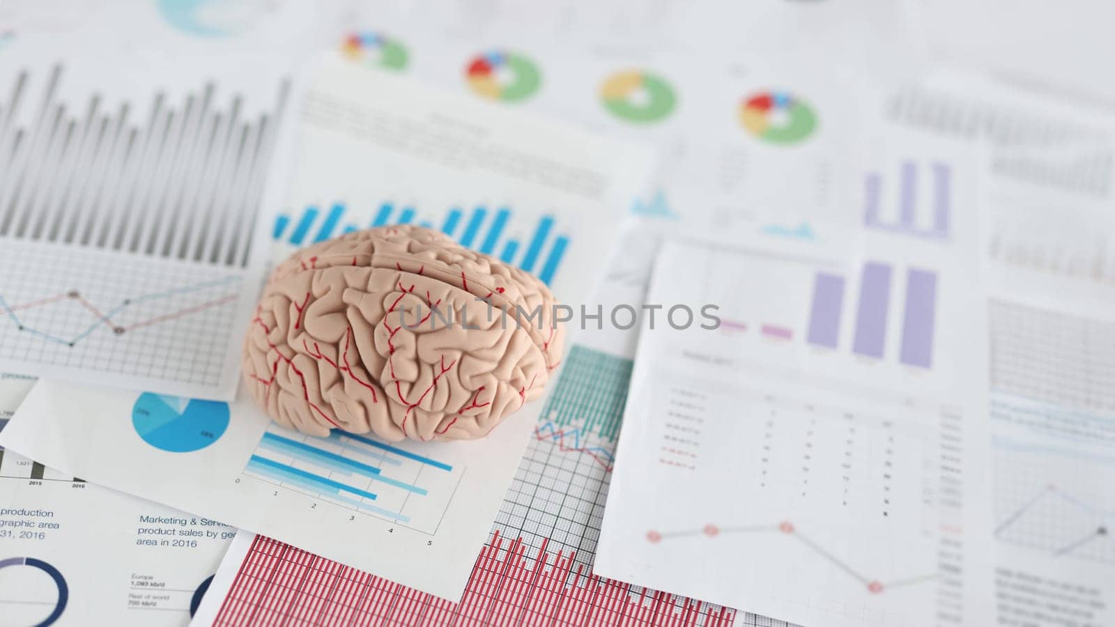 Artificial model of human brain lying on documents with graphs closeup by kuprevich
