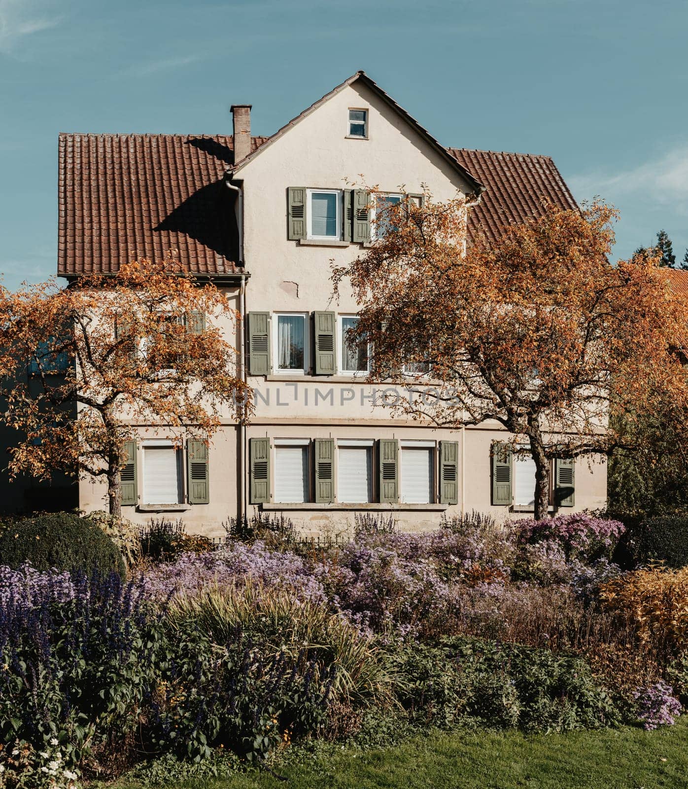 House with nice garden in fall. Flowers in the Park. Bietigheim-Bissingen. Germany, Europe. Autumn Park and house, nobody, bush and grenery