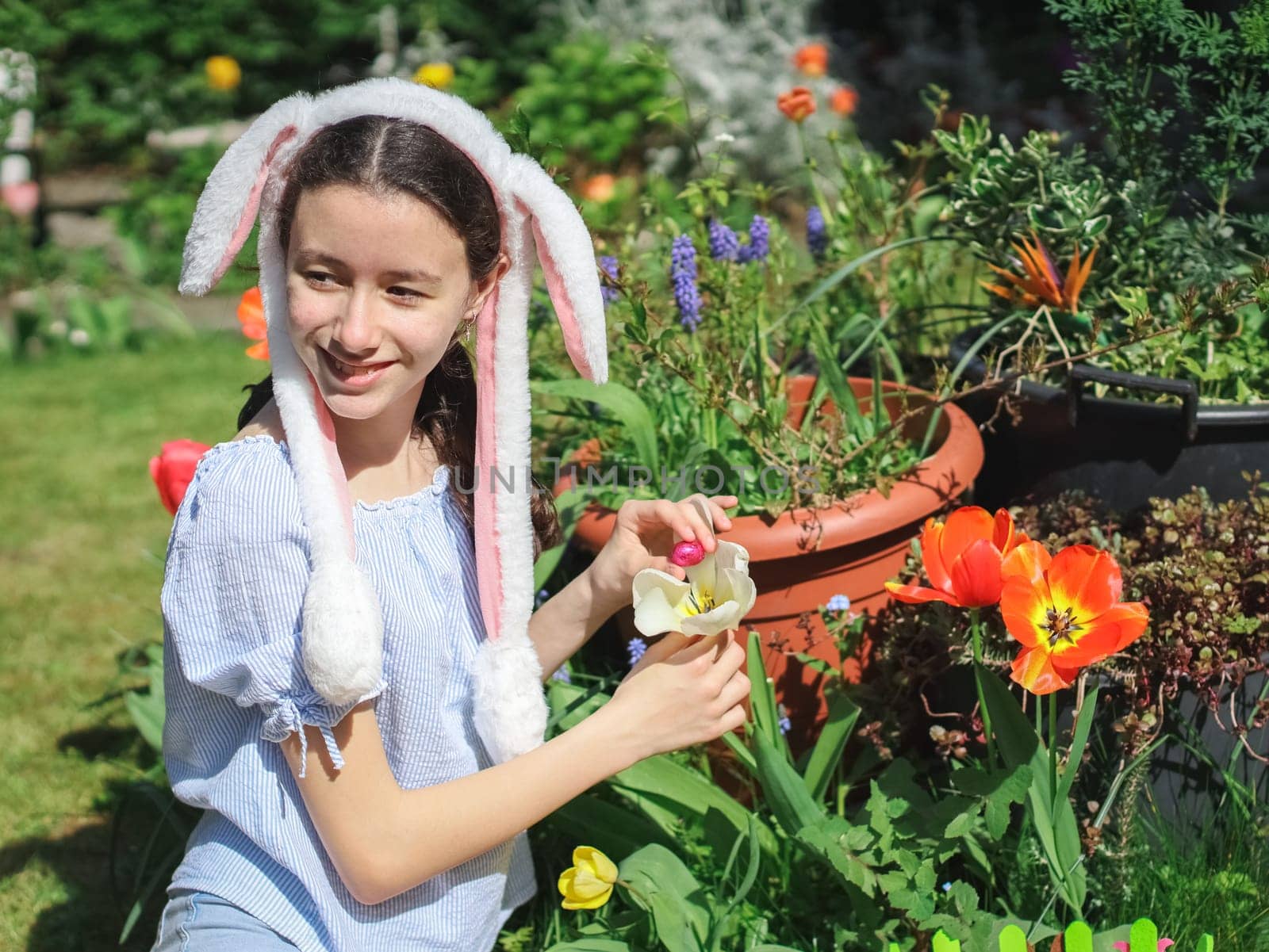 A caucasian teenage girl with a headband of bunny ears found a chocolate Easter egg in a bright lilac shiny wrapper in a white tulip while sitting on the lawn in the backyard of the house, close-up side view. Easter tradition concept, Easter celebration.