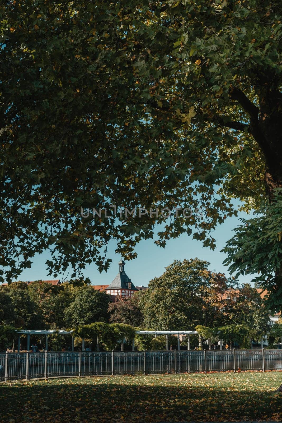 View Through The Trees On An Old European City Bietigheim-Bissingen In Germany. Trees in the City Park of Bietigheim-Bissingen, Baden-Wuerttemberg, Germany, Europe. Autumn Park and house, Trees, bush and grenery by Andrii_Ko