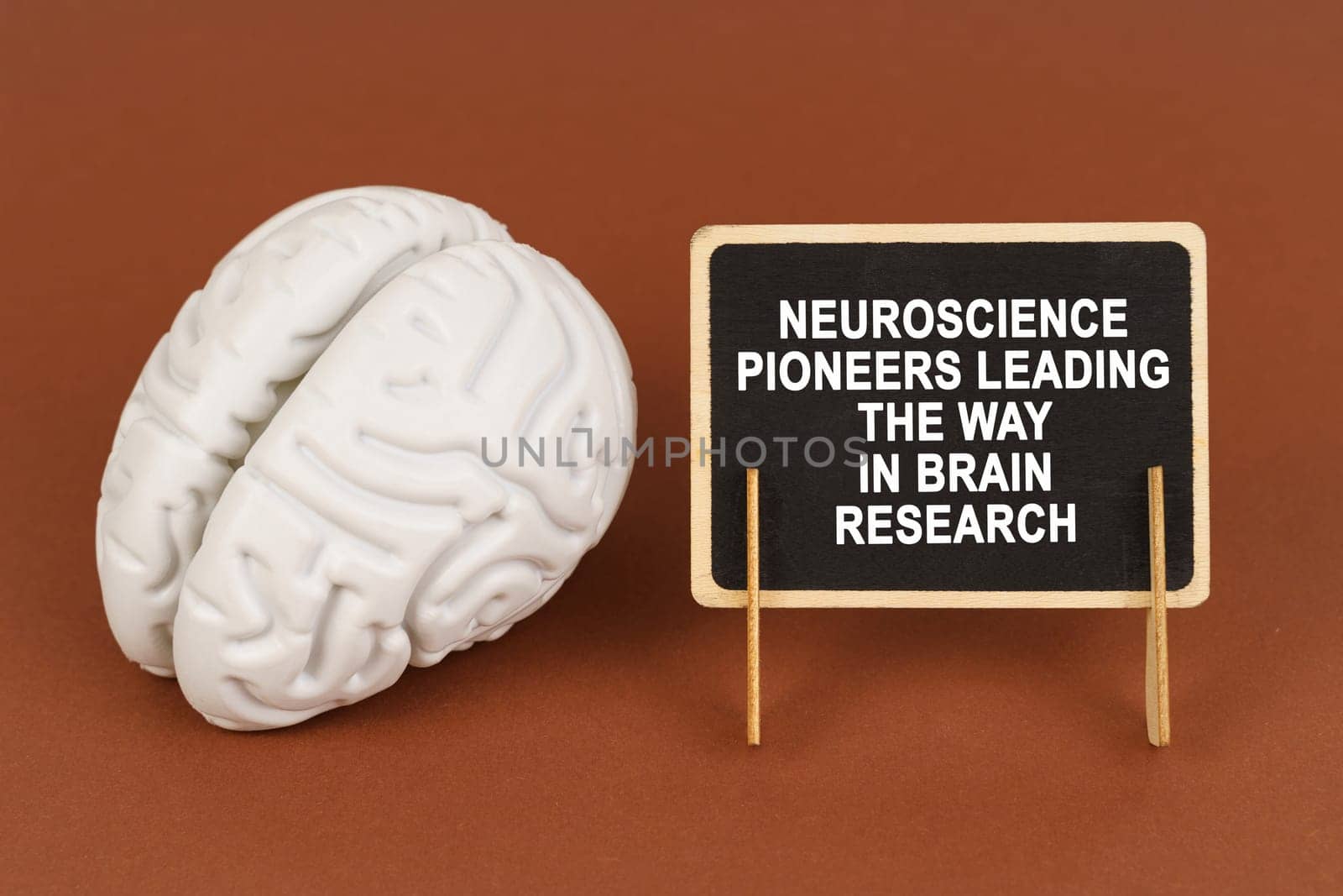 On a brown background, a model of the brain and a sign with the inscription - Neuroscience pioneers leading the way in brain research. Science and healthcare concept.