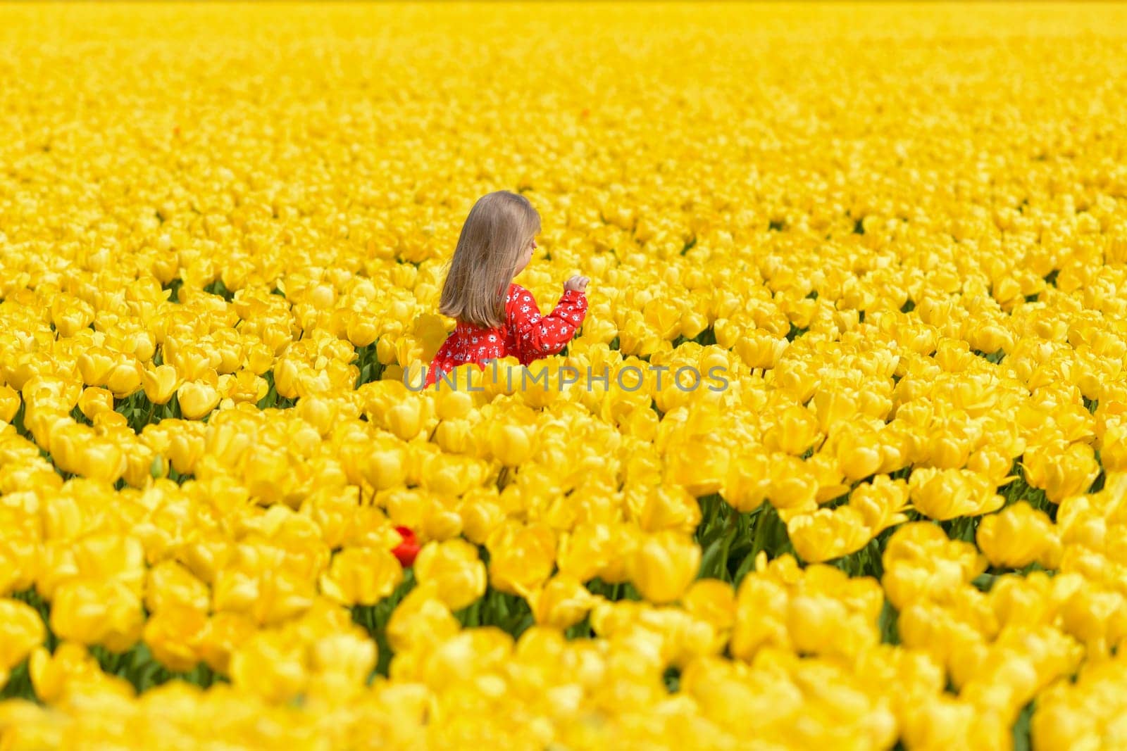 Girl running in a yellow tulip field by Godi