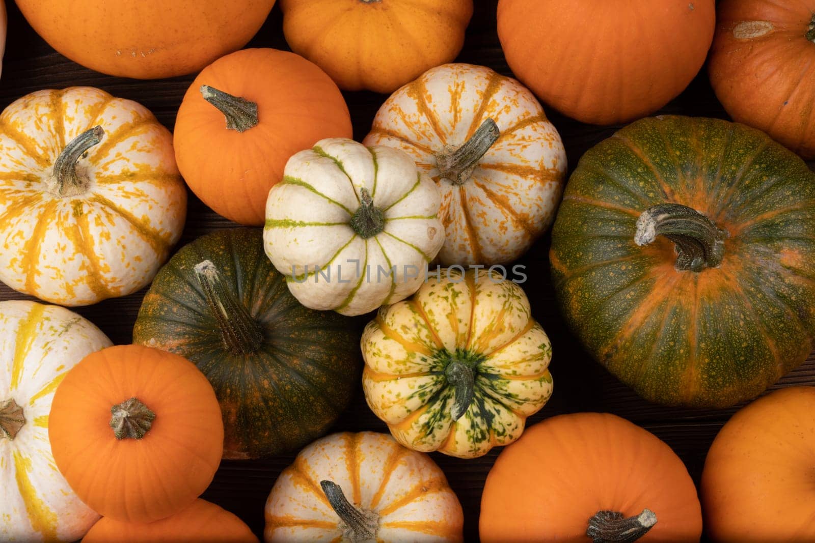 Many various colorful pumpkins background, Halloween or Thanksgiving day concept