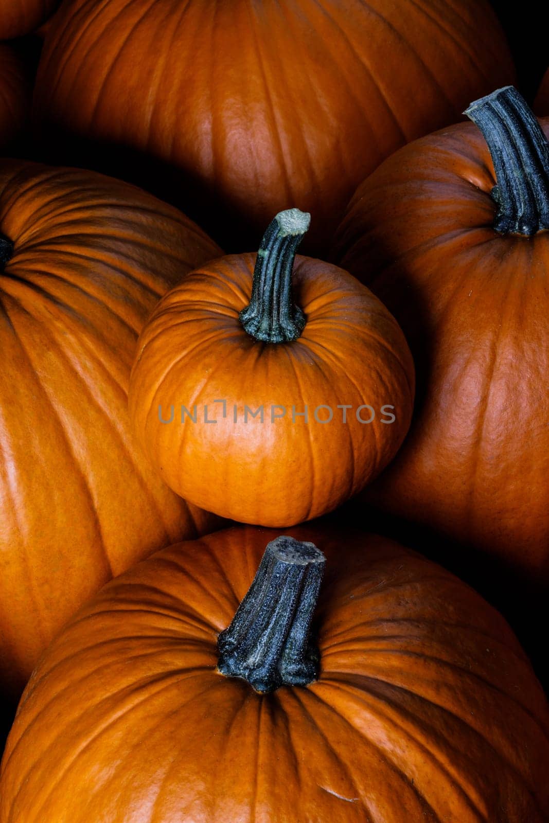 Whole orange pumpkins by Yellowj