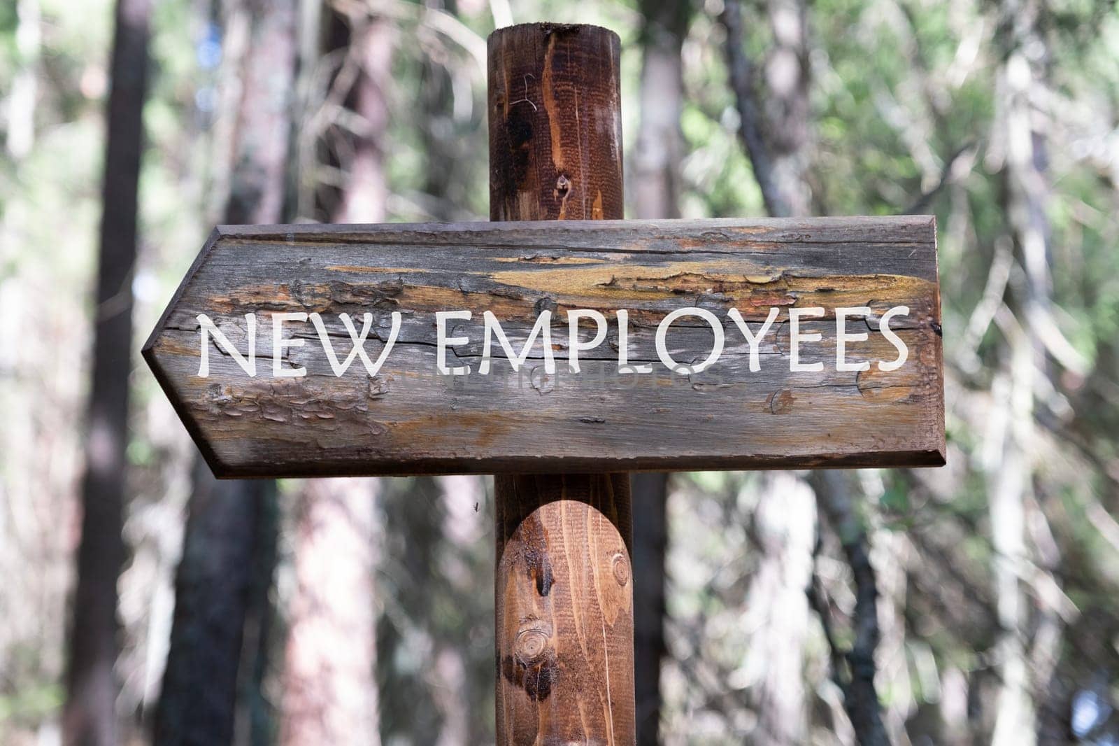 NEW EMPLOYEES Text written on the arrow from the board against the background of the forest