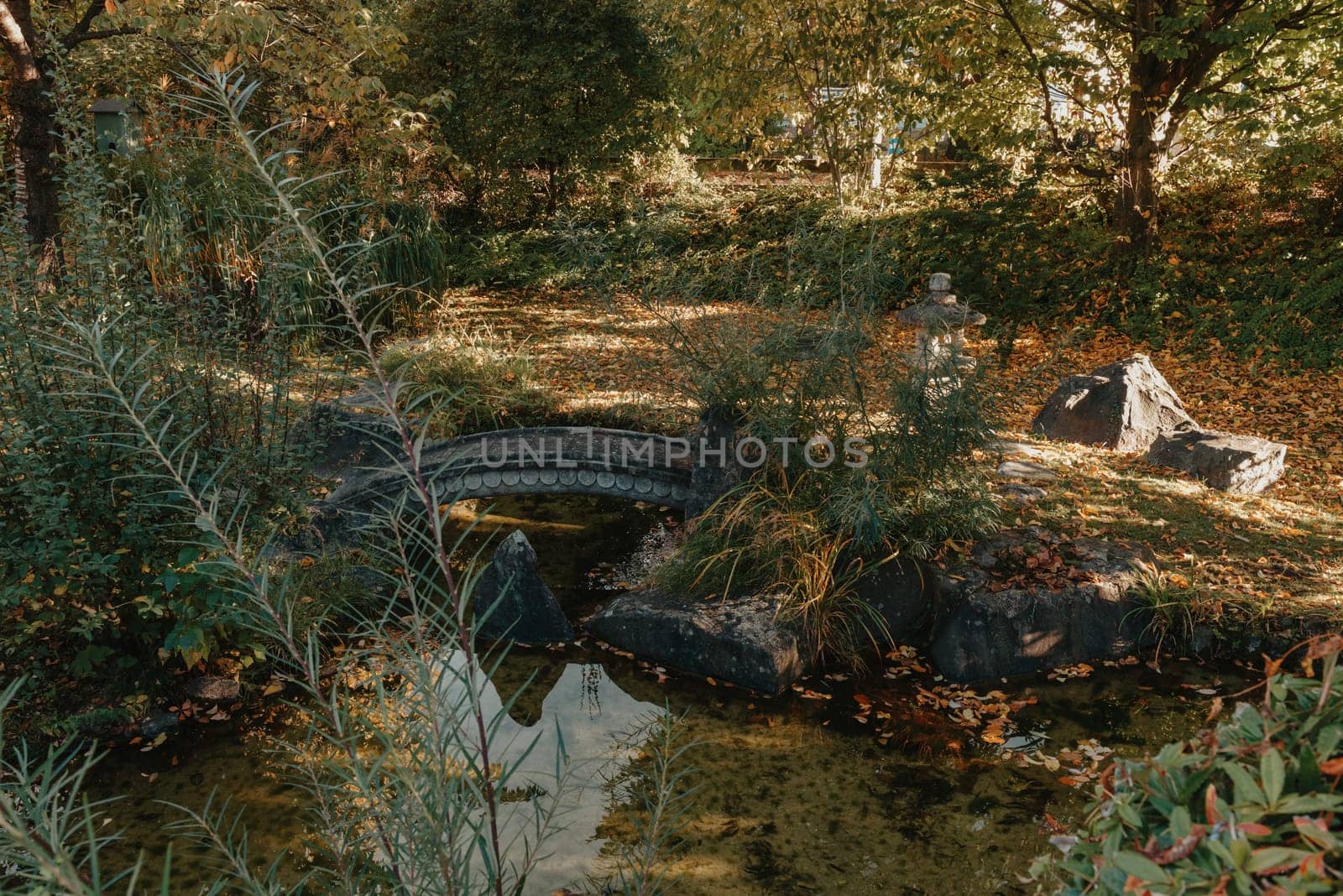 Beautiful Japanese Garden and red trees at autumn seson. A burst of fall color with pond reflections.