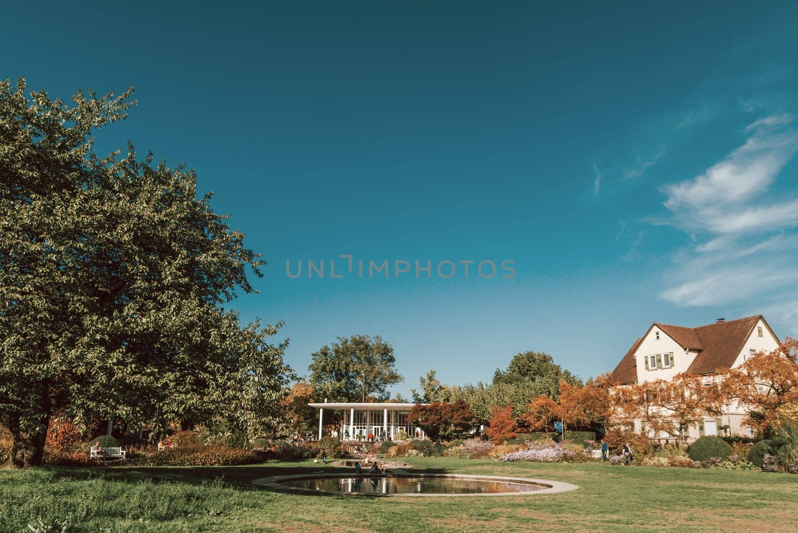 House with nice garden in fall. Flowers in the City Park of Bietigheim-Bissingen, Baden-Wuerttemberg, Germany, Europe. Autumn Park and house, nobody, bush and grenery by Andrii_Ko