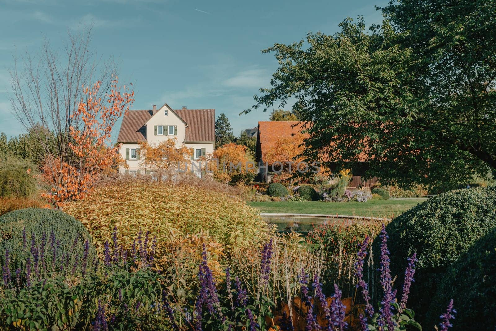 House with nice garden in fall. Flowers in the Park. Bietigheim-Bissingen. Germany, Europe. Autumn Park and house, nobody, bush and grenery