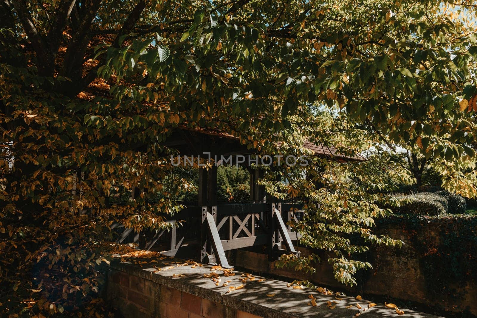 A wooden bridge in the park with and autumn colors of Bietigheim-Bissingen, Germany. Europe. Autumn landscape in nature. Autumn colors in the forest. autumn view with wooden bridge over stream in the park in autumn season. by Andrii_Ko