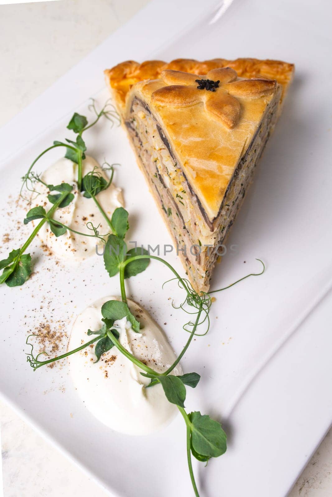 Multi-layered meat and vegetable savory pie with a golden crust by Pukhovskiy
