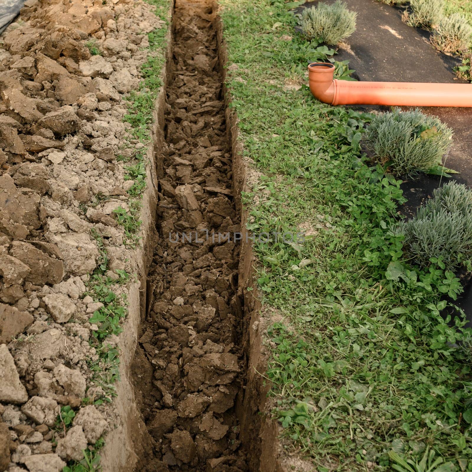 A hand dug trench in a field of flowers to drain groundwater