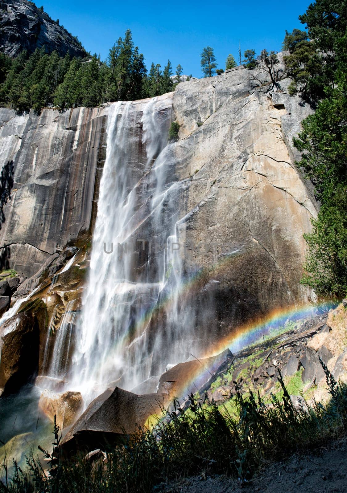 Yosemite Park falls sunny view in summer