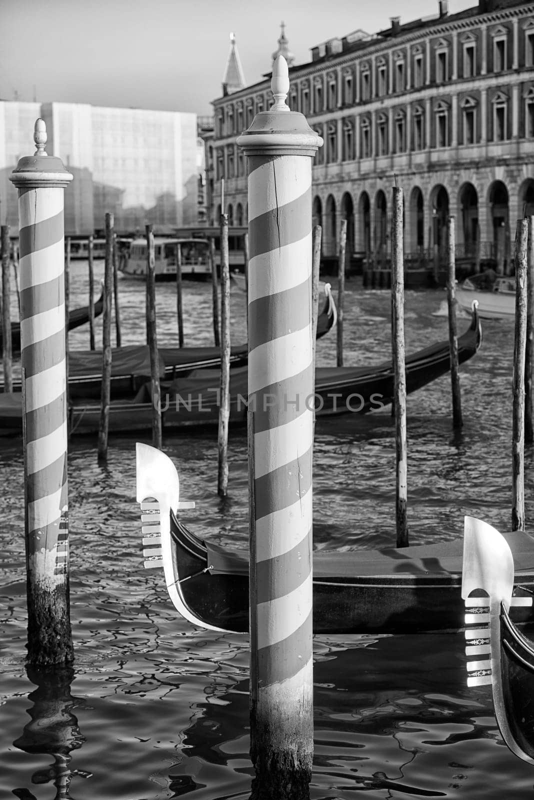 gondola venice view in black and white