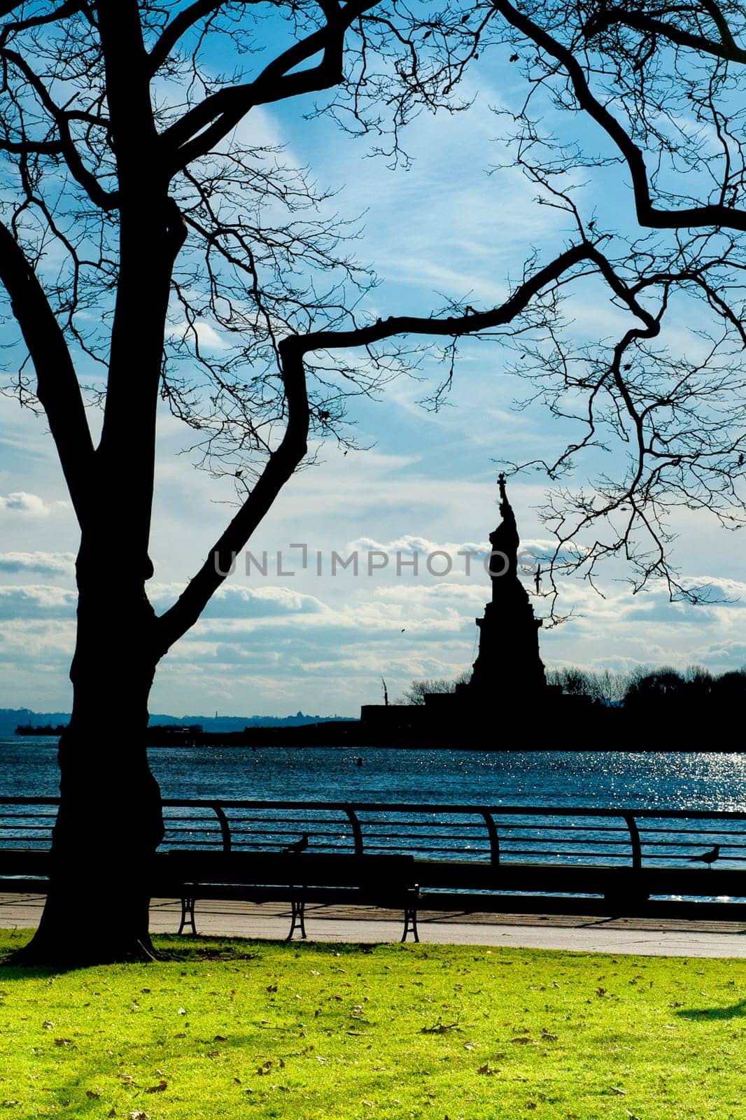 New York statue of liberty black vertical isolated silhouette