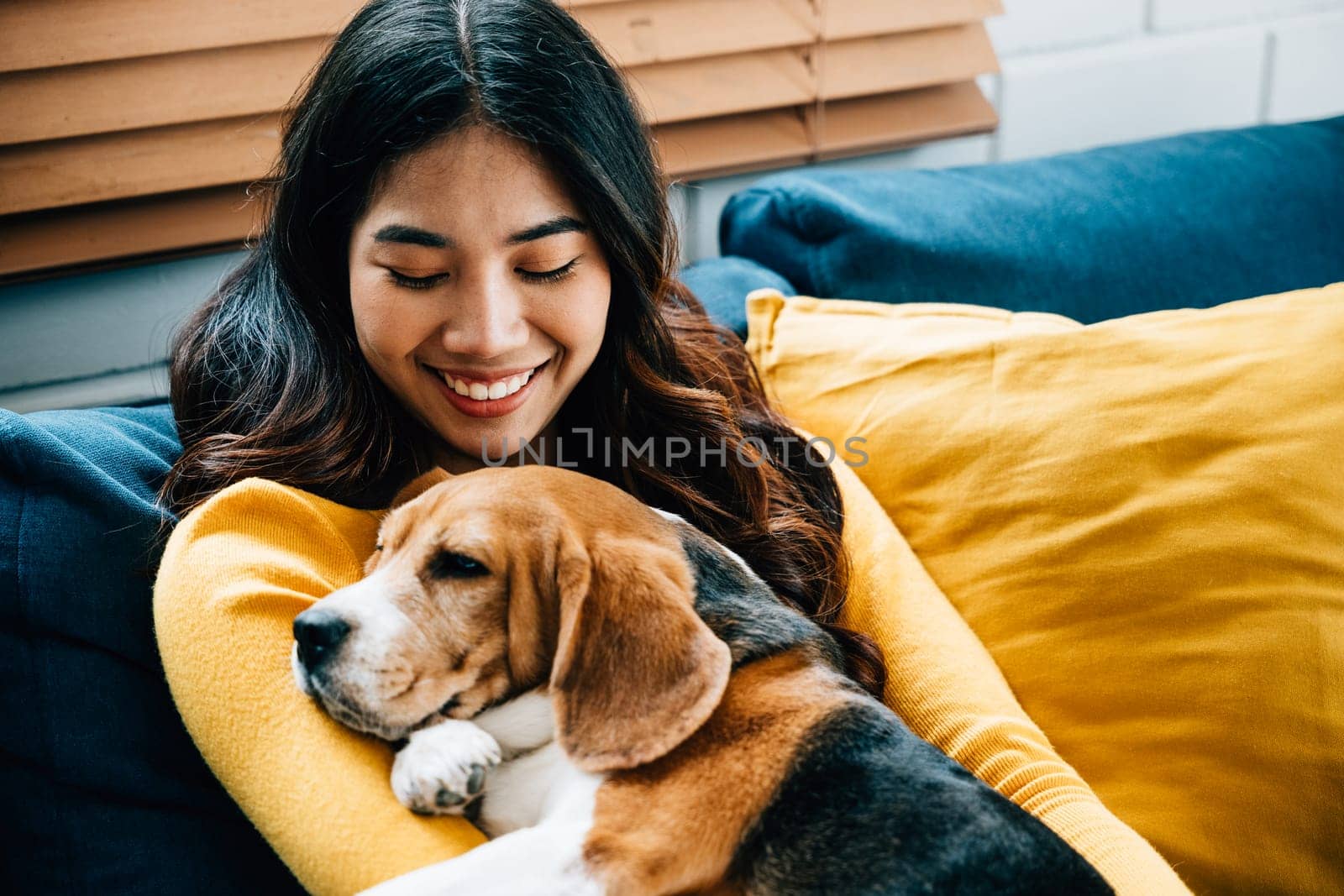 A portrait of happiness and bonding, a woman and her Beagle dog sleep together on the sofa in the living room, embodying the concept of best friends forever and the joy of togetherness.