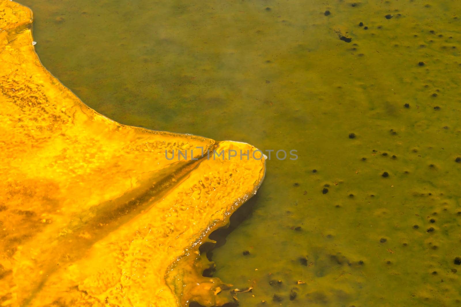 yellowstone hot springs natural background texture with superb colors