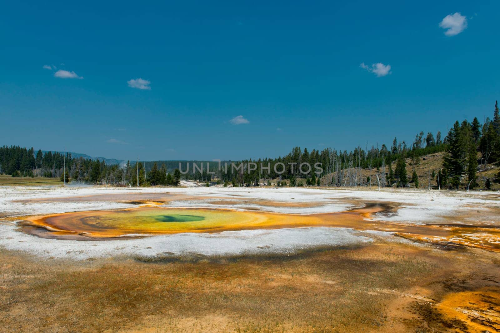 yellowstone hot springs natural background texture with superb colors