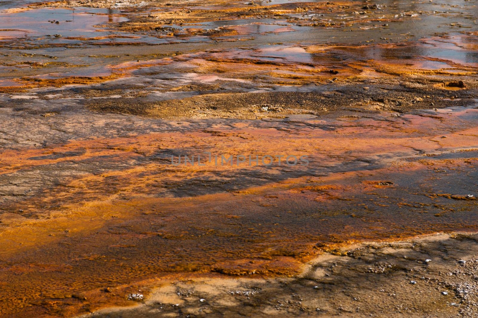 yellowstone hot springs natural background texture with superb colors