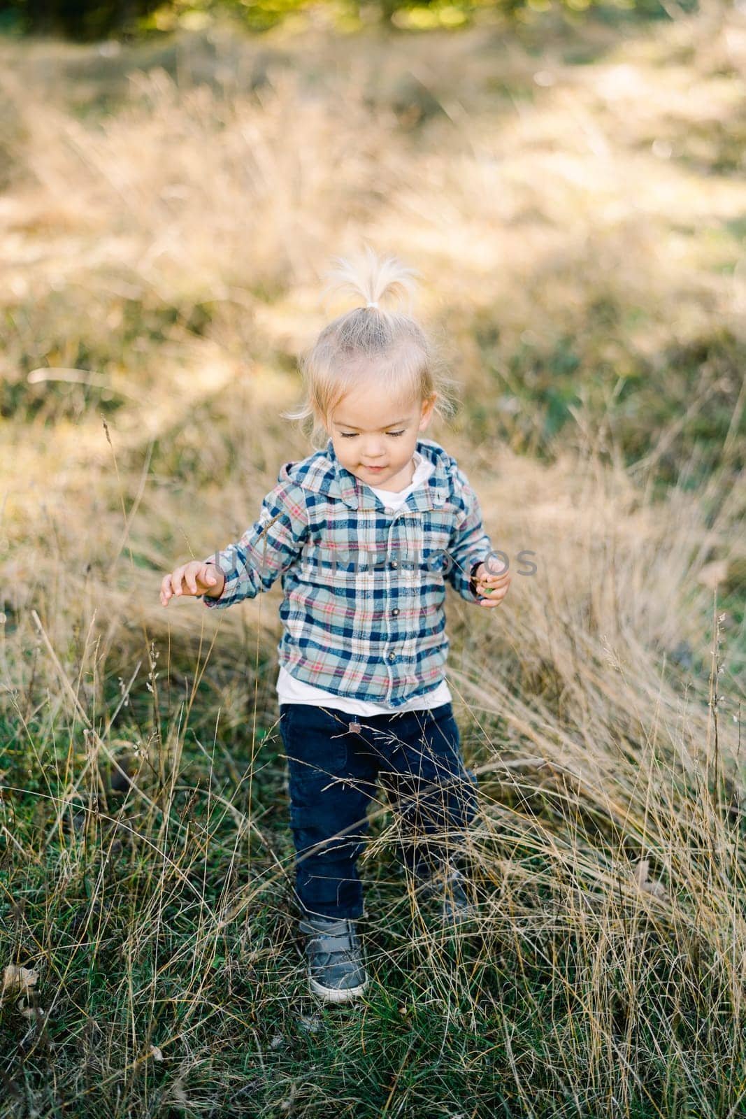 Little girl walks through the tall grass, looking down at her feet. High quality photo